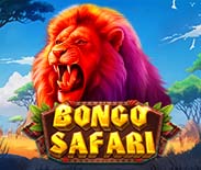 Bongo Safari